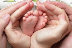 Երրորդ և հաջորդ երեխաների համար մինչև 6 տարեկանը ամսական 50 հազար դրամ աջակցություն կտրամադրվի բոլոր ընտանիքներին. Փաշինյան