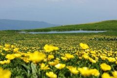 Ջերմաստիճանը օգոստոսի 8-11-ի գիշերը աստիճանաբար կնվազի 4-6, 9-11-ի ցերեկը՝ 2-4 աստիճանով