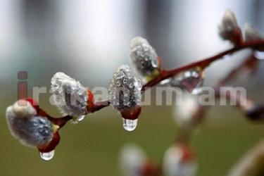 Հանրապետության տարածքում տեղ-տեղ սպասվում է կարճատև անձրև և ամպրոպ