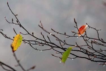 Վաղը Հայաստանի ամբողջ տարածքում տեղումներ են սպասվում, օդի ջերմաստիճանն էապես կնվազի