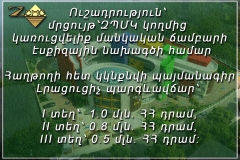 ՄՐՑՈՒՅԹԻՆ ՄԱՍՆԱԿՑԵԼՈՒ ՀՐԱՎԵՐ