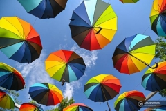 Հայաստանում եղանակն օգոստոսի 18-20-ը կտաքանա