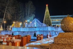 Վառվեցին Կապանի գլխավոր եղեւնու լույսերը