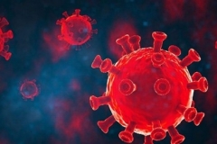 Ունենք կորոնավիրուսի 493 նոր դեպք