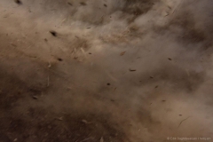 Երասխի հատվածում Ադրբեջանը կրկին կրակել է հայկական դիրքերի ուղղությամբ