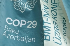 Բաքուն խեղաթյուրել է COP-29-ի վերաբերյալ Եվրախորհրդարանի բանաձևի էությունը