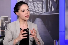 Արևմտյան Ադրբեջան վերադարձի գաղափարը Ադրբեջանում համազգային գաղափար է. Տաթևիկ Հայրապետյան