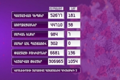 Հայաստանում գրանցվել է կորոնավիրուսի 181 նոր դեպք, 7 մահ