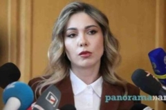 Այս պահին ներկայացված նոր Սահմանադրության նախագծում ներածությունը չկա, իսկ Անկախության հռչակագրին հղումը ներածության մեջ է. Գալյան