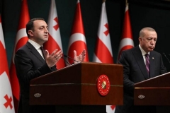 Վրաստանի և Թուրքիայի նախագահները քննարկում են ունեցել տարածաշրջանում խաղաղության և կայունության մասին