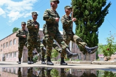 ԱԺ-ն ընդունեց կենսաթոշակը պահպանելով նախկին զինծառայողներին ծառայության վերադառնալու իրավունք տվող նախագիծը