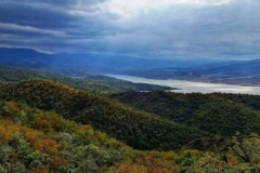 Արցախում ավելի քան 30 հեկտար տարածքով նոր անտառներ կհիմնվեն