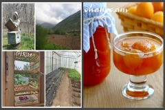 Հայտարարվում է մրցույթ ՀՀ Սյունիքի մարզի 4 թիրախային քաղաքների՝ Կապան, Քաջարան, Մեղրի, Ագարակ տնային տնտեսությունների համար