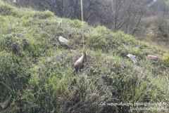 Կապան-Գորիս ավտոճանապարհի մոտ հայտնաբերվել են հակատանկային արկեր, ականանետի ականներ