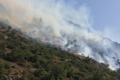 Սյունիքի մարզային փրկարարական վարչությանը՝ Որոտանի կիրճում հրդեհ է…