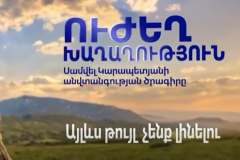 Ուժեղ խաղաղությունը  կլինի միայն այն դեպքում, երբ հակառակորդը տեսնի քո հնարավորությունները. «Ուժեղ Հայաստան»