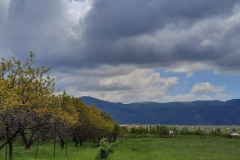 Առաջիկա օրերին օդի ջերմաստիճանն աստիճանաբար կնվազի 8-10 աստիճանով