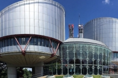 ՄԻԵԴ-ը հրատապ ծանուցում է ուղարկել Եվրոպայի խորհրդի Նախարարների կոմիտեին՝ վերահսկելու Ադրբեջանի կողմից Լաչինի միջանցքը ապաշրջափակելու մասին իր որոշման կատարումը