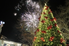 Մեղրի քաղաքում վառվեցին քաղաքի գլխավոր տոնածառի լույսերը