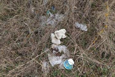 Ծառագողերը ոչ միայն թքած ունեն անտառների վրա, այլ նաեւ  փնթի են. Բնապահպանի տուն