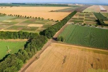 Խորհրդարանում քննարկվեց հողերի օտարումից առաջացած մուտքերը համայնքային բյուջեներ ուղղելու նախագիծը