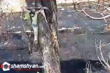 Հրշեջները 4 ժամ պայքարել են կրակի դեմ․ միակ չայրված ծառի վրա խաչ է ամրացված եղել