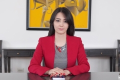 Հայաստանը պատրաստ է միջազգային փորձագետների ներգրավմամբ ստուգել Ադրբեջանին փոխանցված ականապատ դաշտերի տեղամատյանների ճշգրտությունը. Անի Բադալյան