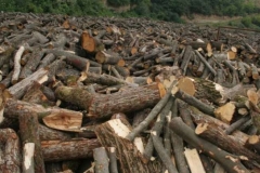 Անտառամերձ բնակավայրերի բնակիչներին կտրամադրվեն թափուկ վառելափայտի օրենքով սահմանված չափաքանակներ․ ցանկը թարմացվել է