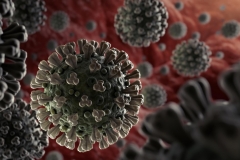 ՍՅՈՒՆԻՔՈՒՄ ՀԱՍՏԱՏՎԵԼ Է ԿՈՐՈՆԱՎԻՐՈՒՍՈՎ ՎԱՐԱԿՎԵԼՈՒ 405, ՄԱՀՎԱՆ՝ 4 ԴԵՊՔ