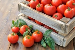 ՌԴ-ն վերացնում է 13 հայկական ձեռնարկությունների նկատմամբ կիրառված լոլիկի ներկման սահմանափակումները