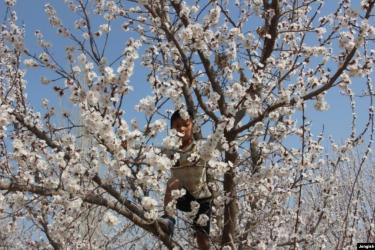 ՈՒՇԱԴՐՈՒԹՅՈՒՆ. ՀԱՆՐԱՊԵՏՈՒԹՅԱՆ ՀՈՎՏԱՅԻՆ և ՆԱԽԱԼԵՌՆԱՅԻՆ ԳՈՏՈՒՄ ԿԱ ՑՐՏԱՀԱՐՈՒԹՅԱՆ ՎՏԱՆԳ