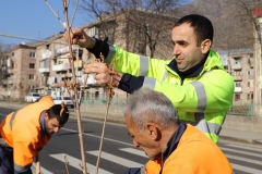 Հերթական ծառատունկը՝ Ողջի գետի երկայնքով