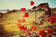 Կարմիր-կարմիր ծաղիկներ 2020-ի սրբազան զոհերին