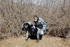 Վարանդայից և Ջրականից տարհանվել է ևս 2 աճյուն. ԱՀ ԱԻՊԾ