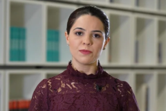 «Baku TV»-ն թիրախավորում է մի շարք հայ պատմաբանների ու ԳԱԱ-ին՝ ադրբեջանական կեղծարարությունները բացահայտելու համար․ ադրբեջանագետ