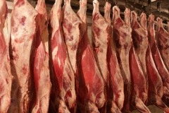 Դաբաղի պատճառով կենդանիներ են uատկում ՀՀ-ում․ վարակը մարդկանց համար կարո՞ղ է վտանգավոր լինել