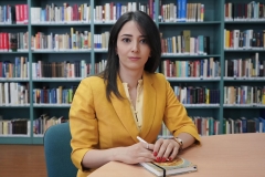 ՀՀ Սահմանադրության տեքստում որևէ երկրի դեմ տարածքային պահանջ չկա․ ԱԳՆ խոսնակը հակադարձում է Բաքվից հնչող մեղադրանքներին