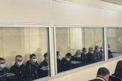 Պետք է խնդրենք ձեր դեսպաններին Բաքվում այցելել հայ գերիներին․ Հայկ Մամիջանյանը՝ եվրոպացի պատգամավորներին