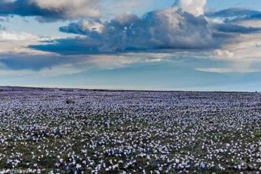 Եղանակը Հայաստանում և Արցախում