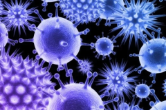 Հայաստանում շրջանառվում են ռինովիրուսի, բոկավիրուսի, ադենովիրուսների, պարագրիպի հարուցիչները, կորոնավիրուսային հիվանդության հարուցիչներ, նաև գրիպի A տեսակի վիրուս. ԱՆ