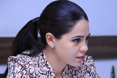 Ադրբեջանը Հայաստանի դեմ մշակում է հստակ զավթողական ու վտանգավոր ծրագրեր․ Տաթևիկ Հայրապետյան