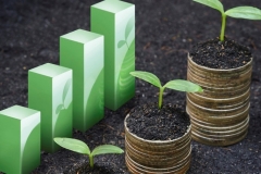 2025 թ. ակնկալվում է ունենալ 5.6 տնտեսական աճ. ֆինանսների նախարար