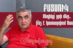 ՏԵՍԱՆՅՈՒԹ․ ԲԱՑԱՌԻԿ. Ի՞նչ է պատմում ջրի մեջ սնդիկ հայտնաբերած Ծավի բնակիչը. նոր մանրամասներ