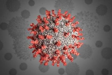 Կորոնավիրուսով վարակման 612 և մահվան 13 նոր դեպք