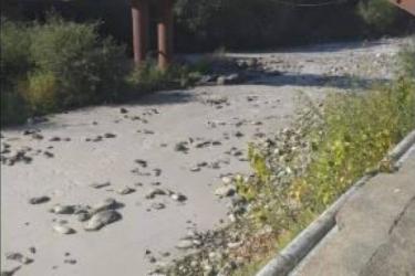 ՀԱՐՑՈՒՄ ՏԵՍՉԱԿԱՆ ՄԱՐՄՆԻՆ` ՈՂՋԻ ԳԵՏԸ ՊՈՉԱՆՔՆԵՐՈՎ ԱՂՏՈՏԵԼՈՒ ԴԵՊՔԻ ՎԵՐԱԲԵՐՅԱԼ. ՀԲՃ