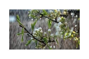 Առաջիկա օրերին սպասվում են տեղումներ