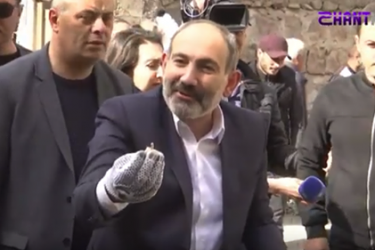 Արսեն Թորոսյանը հիմա նայում, ասում է՝ այ տենց, դե հավաքի․ Փաշինյանը կատակեց ծխուկները հավաքելիս