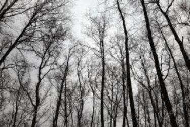 Եղանակը Հայաստանում.ջերմաստիճանը բարձրանում է