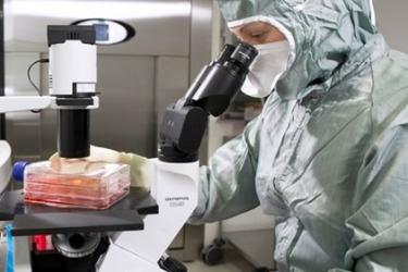 Հայաստանում գրանցվել է կորոնավիրուսի 593 նոր դեպք. մահվան նոր դեպքերը 6-ն են. ՀՀ ԱՆ 