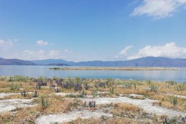 Չլողալ այն վայրերում, որտեղ նկատվում են ջրիմուռներ․ առողջապահության նախարարություն